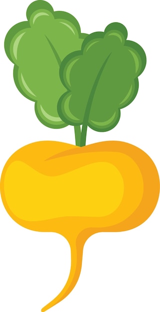 Vector Image Of A Root Vegetable Food Illustration