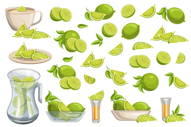 Vector image of a set of limes in different combinations