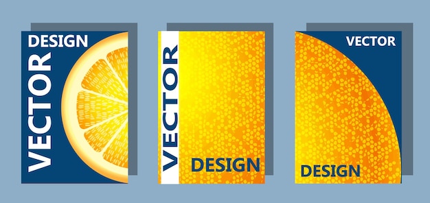 Vector image A set of three elements featuring a cut lemon and peel texture EPS 10