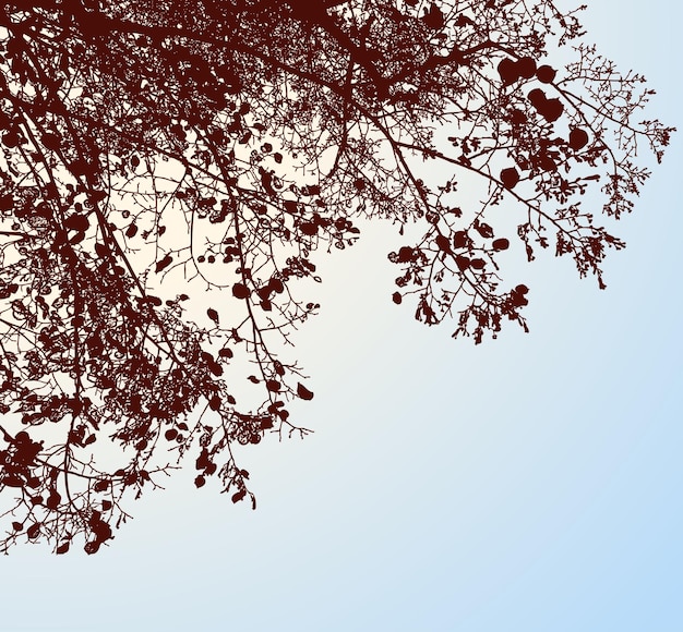 vector image of silhouettes branches deciduous tree with autumn foliage aganst blue sunny sky