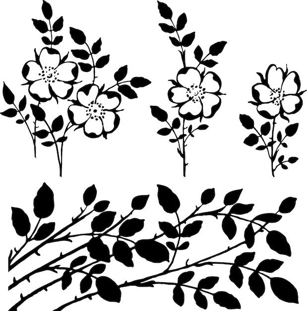 Vector image of silhouettes decorative vintage twigs and flowers