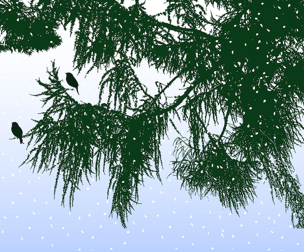 Vector vector image of silhouettes spruce branches in winter forest