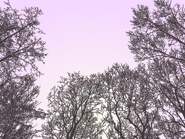Векторное изображение силуэтов деревьев на фоне закатного неба в зимнем лесу