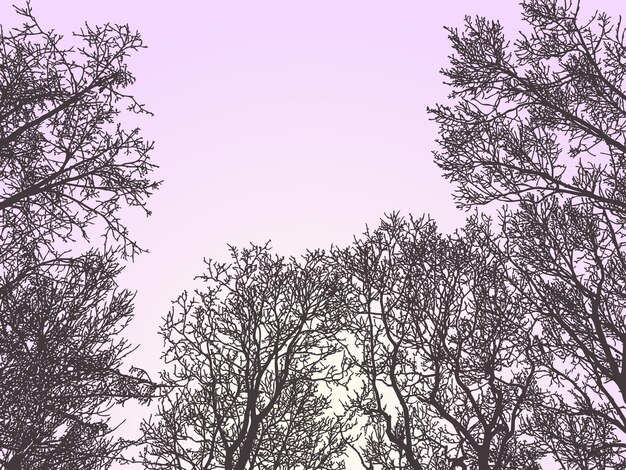 Immagine vettoriale di sagome di alberi contro il cielo al tramonto nella foresta invernale