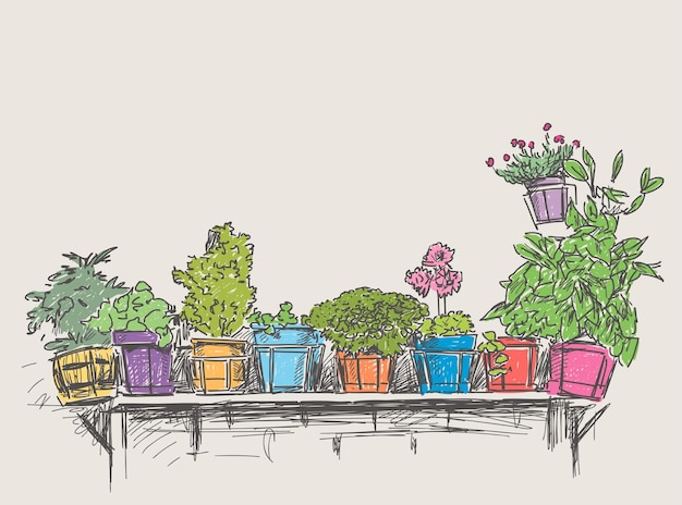 Vector vector image of sketches of flower pots with houseplants in row on a shelf