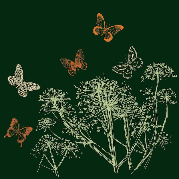 Vector image of sketches of umbellate flowers and flying butterflies