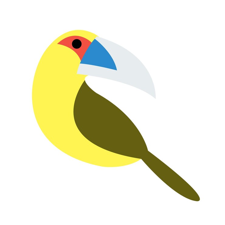 Vector vector image of a toucan on a white background tropical bird