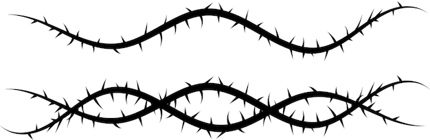 Vector image of a vine with thorns. Barbed wire.