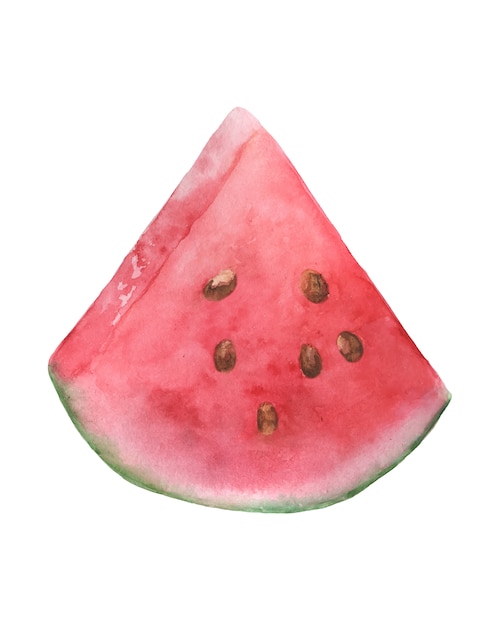 Vector image of a watermelon.