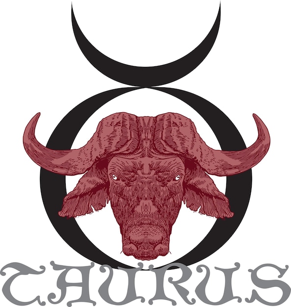 Vector image of the zodiac sign taurus in the style of classic graphic engraving