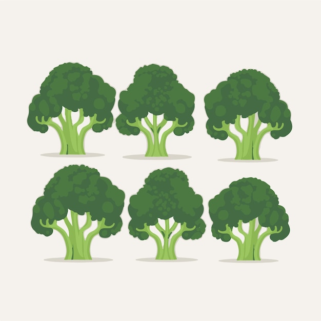 Vector images of broccoli with simple geometric shapes and clean lines