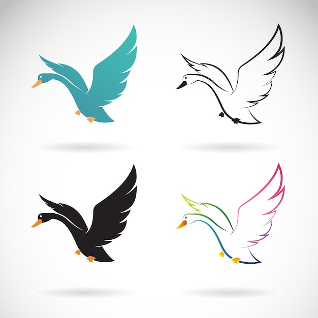 Vector images of swan design on a white background