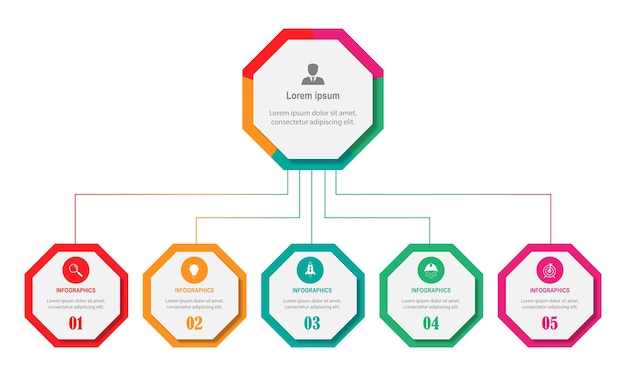 vector infographic circle design template with 5 option or steps.