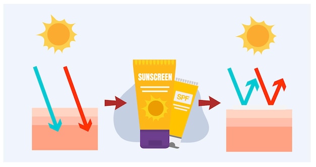 Infografica vettoriale dei concetti di protezione solare per la cura della pelle crema solare prima dopo aver utilizzato il prodotto per la protezione solare sugli strati della pelle