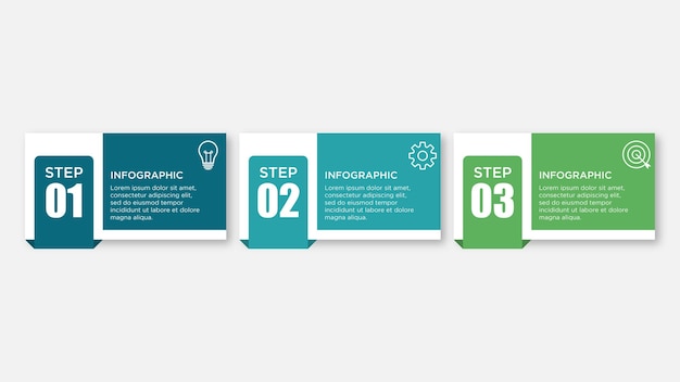 Vector infographic template with three steps or options illustration presentation with line elements icons business concept design can be used for web brochure diagram