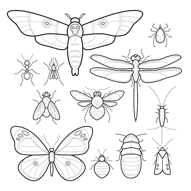 Vector insects. set.