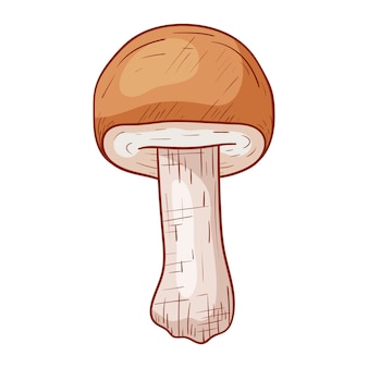 Vettore isolato autunno doodle illustrazione di funghi porcini commestibili foresta in stile contorno.