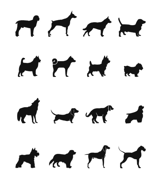 Вектор, изолированный черный силуэт собаки, коллекция. векторная коллекция силуэтов пород собак.