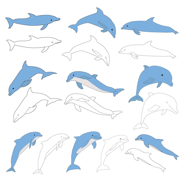 Vector isolated blue dolphin floats coloring book set