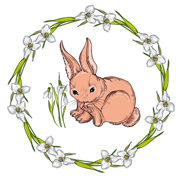 Vector isolated cartoon hare.