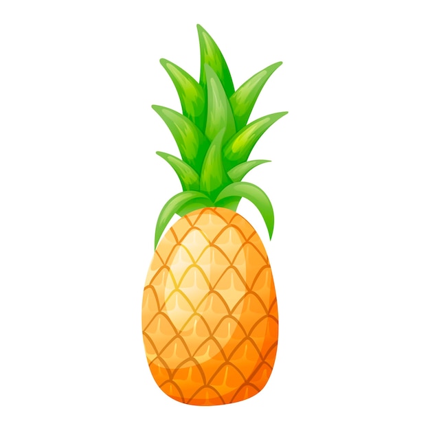 Vector isolated cartoon illustration of tropical pineapple fruit with tops