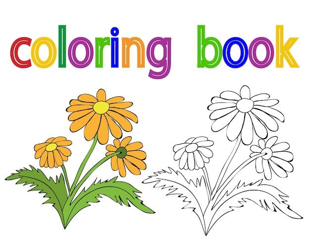 Fiori del libro da colorare isolati di vettore semplici