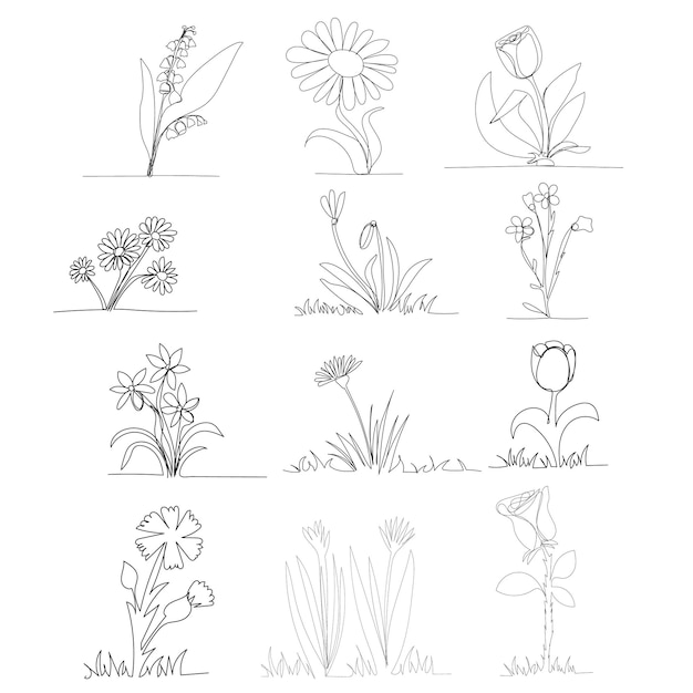 Vector vector isolated continuous line drawing of flowers set