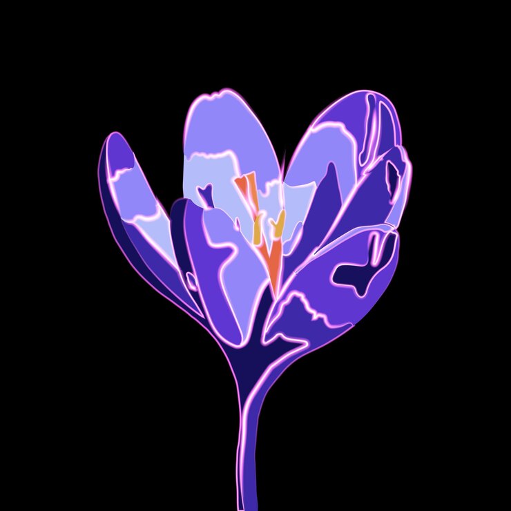 Vector ネオン効果を持つベクトル分離クロッカス イラスト。