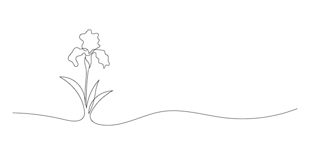 Vector isolated daffodils flowers bloom contour line colorless black and white drawing