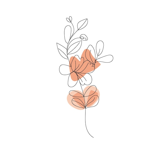 Premium Vector Vector isolated daisy line art floral clipart