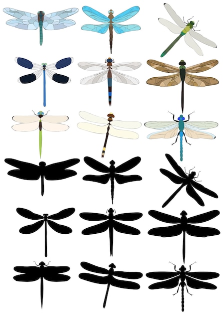 Vector isolated dragonfly insect set silhouettes