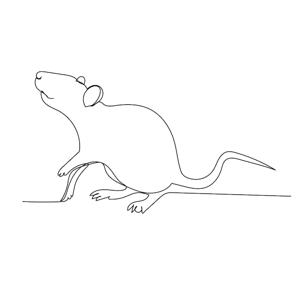 Vector isolated drawing with one continuous line rat mouse sketch