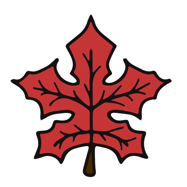 Vector isolated element back to school red maple leaf