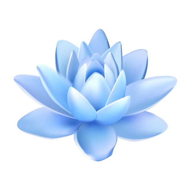 Vector vector isolated flower of lotus with light blue petals with reflection on white background