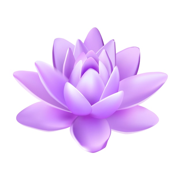 Вектор Векторный изолированный цветок лотоса со светло-фиолетовыми лепестками с отражением на белом фоне 3d