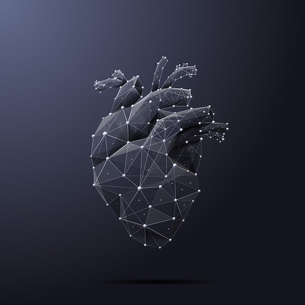 벡터 금속 와이어프레임 및 포인트 다각형 인간 기관에서 벡터 격리된 심장 낮은 폴리