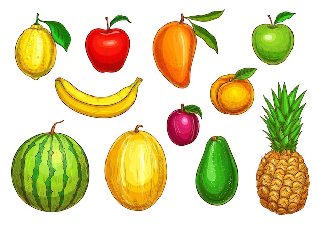 Vector vector isolated icons of tropical exotic fruits