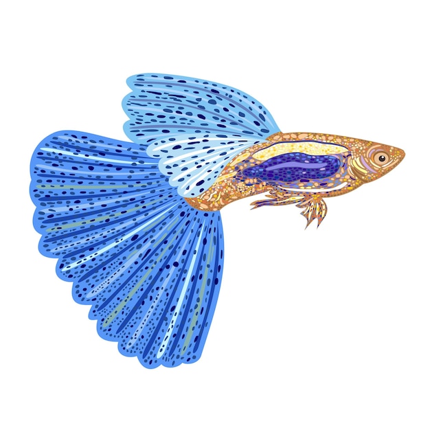 Векторная изолированная иллюстрация яркой декоративной рыбы-гуппи с синим большим хвостом и плавниками