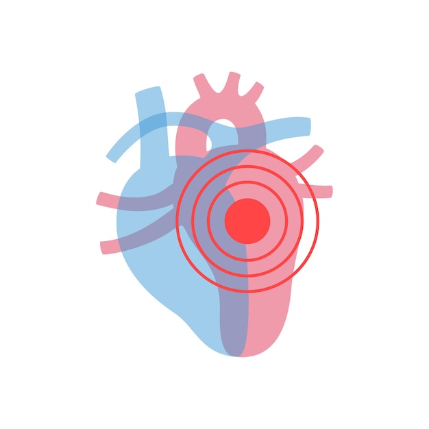 Vector isolated illustration of heart