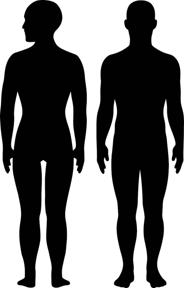 Vector 人間のシルエットのベクトル隔離イラスト