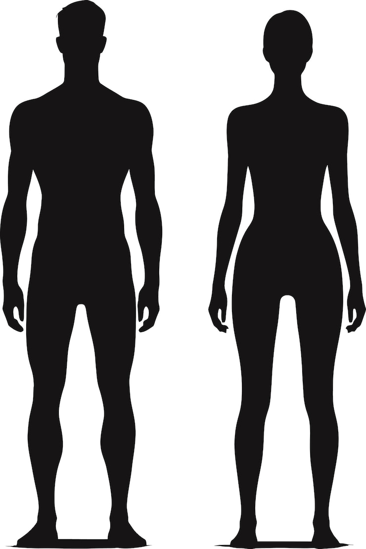 Vector 人間のシルエットのベクトル隔離イラスト