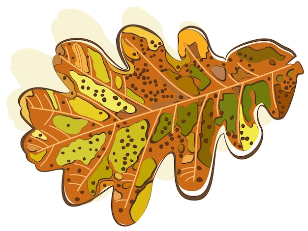 Vector isolated illustration of oak leaf.