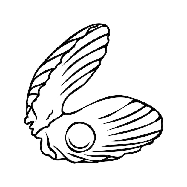 Vector isolated illustration of a shell Contour sketch of a shell in the doodle style