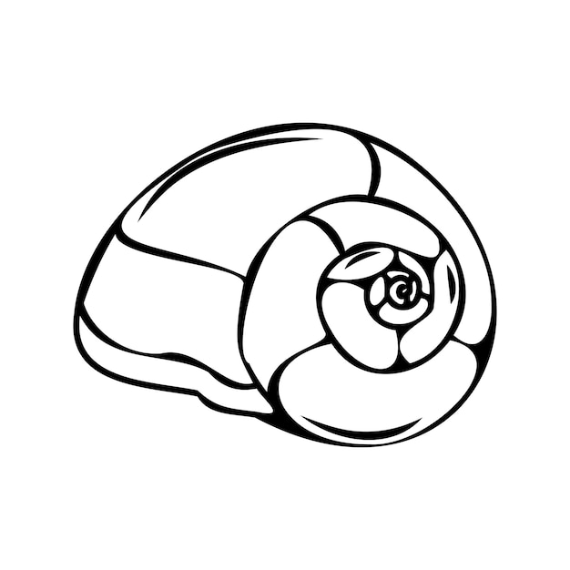 Vector isolated illustration of a shell Contour sketch of a shell in the doodle style