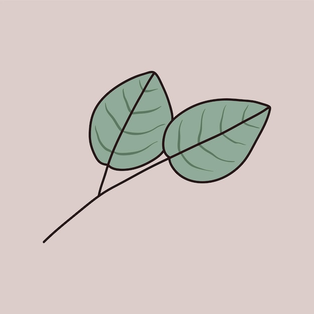 Vector isolated illustration of a twig with leaves