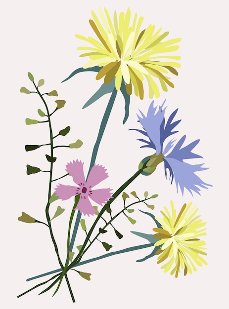 Vector isolated illustration of wildflowers. Dandelions, cornflower and wild carnation.