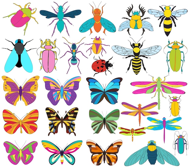 Vector vector isolated insects beetles butterflies set children bright