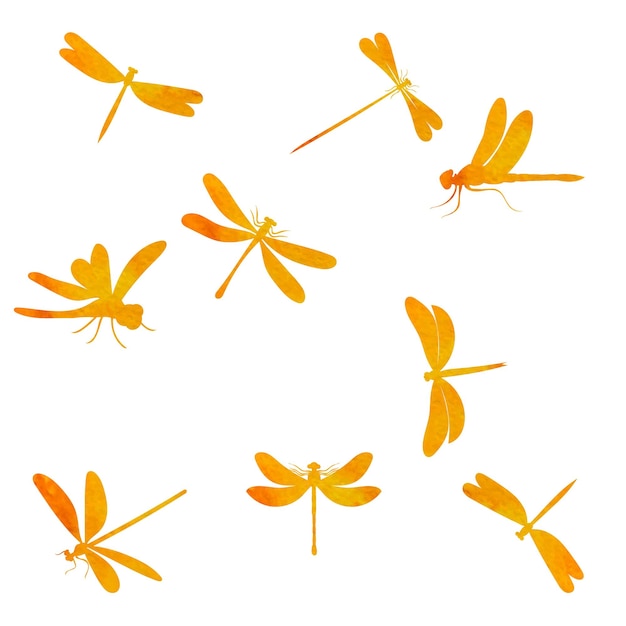 Vector isolated orange silhouette dragonfly insect on a white background