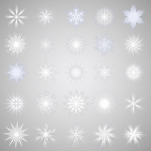 Vector isolated set of white snowflakes