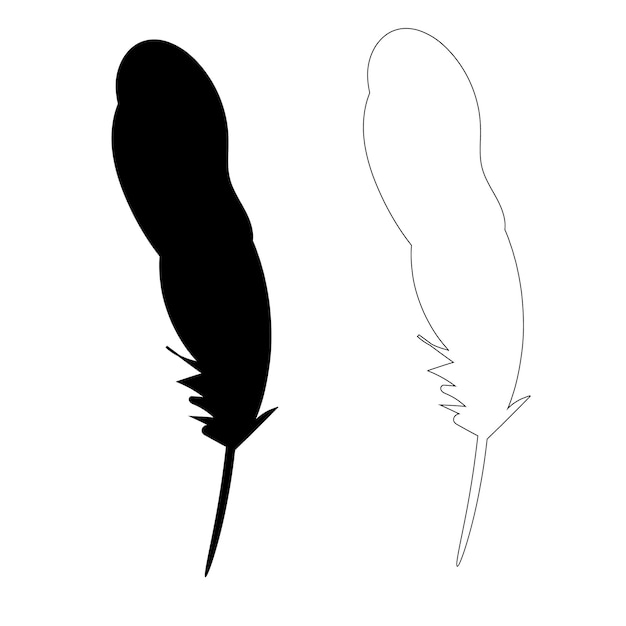 vector isolated silhouette of bird feather